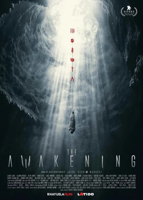 poster of The Awakening