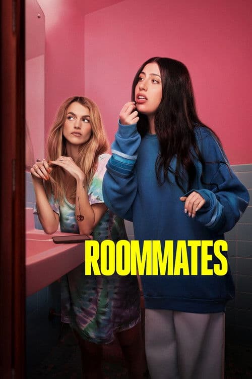 poster of Roommates